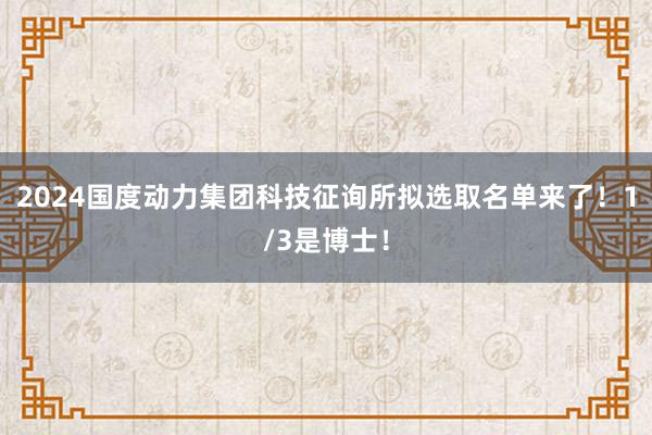 2024国度动力集团科技征询所拟选取名单来了！1/3是博士！