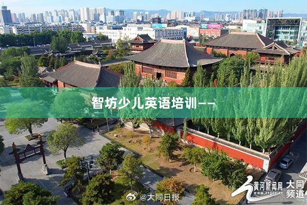 智坊少儿英语培训——