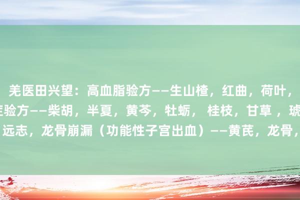 羌医田兴望:高血脂验方——生山楂,红曲,荷叶,泽泻,丹参 神经官能症验方——柴胡,半夏,黄芩,牡蛎, 桂枝,甘草 ,琥珀,远志,龙骨崩漏(功能性子宫出血)——黄芪,龙骨,白术,牡蛎,白芍,白及,...