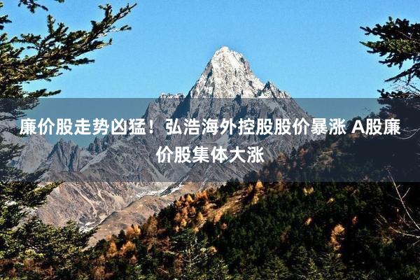 廉价股走势凶猛！弘浩海外控股股价暴涨 A股廉价股集体大涨