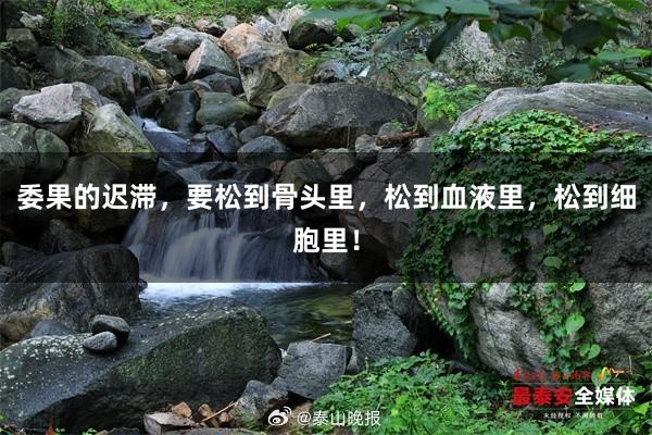 委果的迟滞，要松到骨头里，松到血液里，松到细胞里！