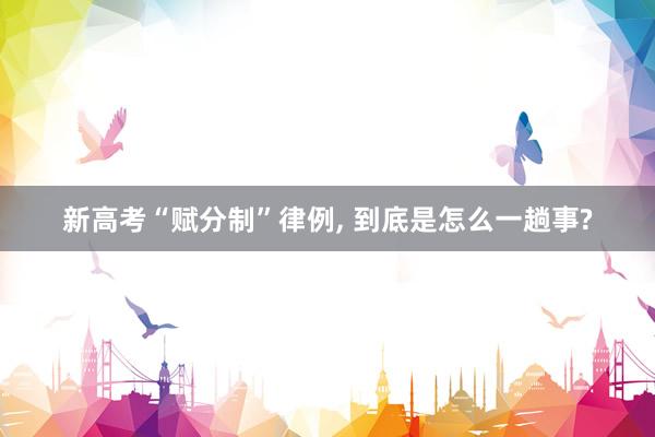 新高考“赋分制”律例, 到底是怎么一趟事?