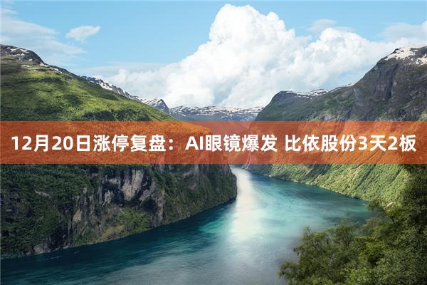 12月20日涨停复盘:AI眼镜爆发 比依股份3天2板